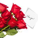 7 red roses on flat surface with a handwritten note that says I love you.